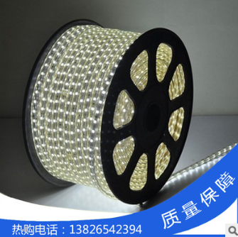 廠家銷售 5050 高亮高壓燈帶冷白光防電