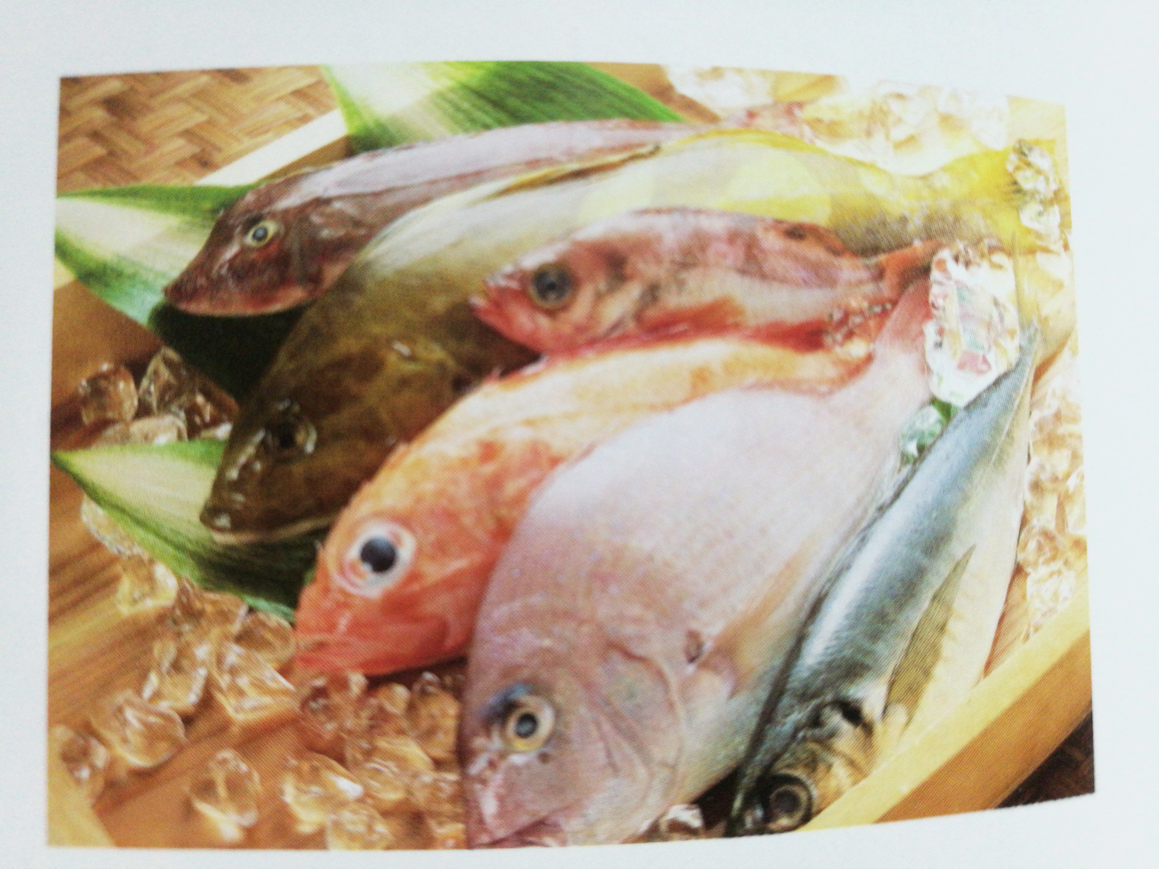 廣州星星豪華海鮮柜