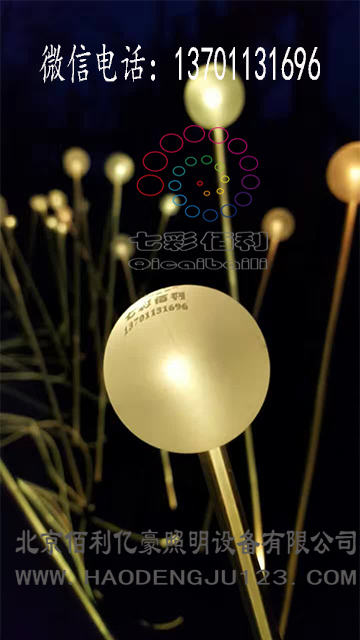 光纖蘆葦燈哪家好