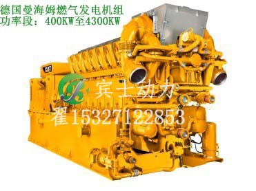 供應賓士動力燃氣發(fā)電機組