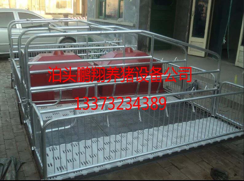 母豬產(chǎn)床_新式優(yōu)質(zhì)母豬產(chǎn)床豬產(chǎn)床母豬分娩床加重雙體
