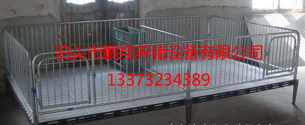 豬用保育欄|小豬活動(dòng)床養(yǎng)豬設(shè)備|豬用活動(dòng)床圖片