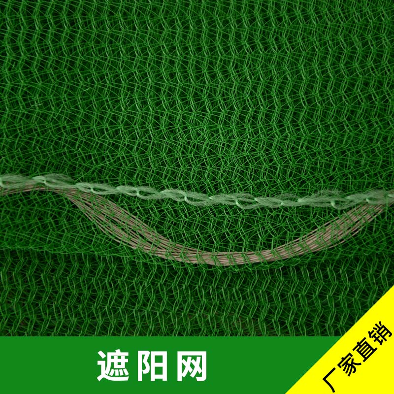生產(chǎn)銷售各種蓋土網(wǎng) 遮陽網(wǎng)產(chǎn)品 安全網(wǎng) *惠 質(zhì)量有保障