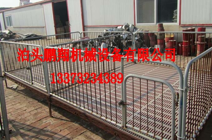 豬用保育欄|小豬活動(dòng)床養(yǎng)豬設(shè)備|豬用活動(dòng)床圖片