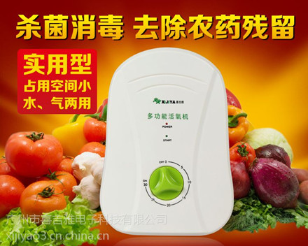 廠家供應(yīng) 多功能臭氧機(jī)貼牌代加工