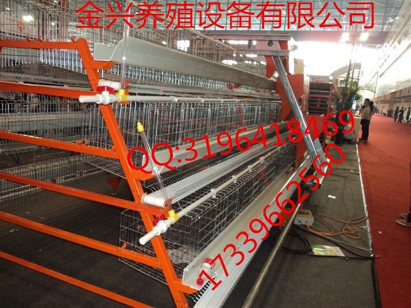 供應(yīng)雞籠還是金興雞籠*