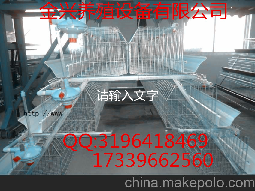 供應(yīng)雞籠還是金興雞籠*