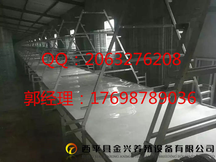 供應(yīng)自動(dòng)化撿蛋機(jī)    廠家直銷