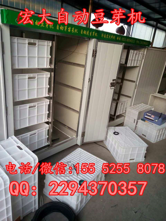 山東自動豆芽機   宏大豆芽機廠家  自發(fā)豆芽機設(shè)備  全自動自發(fā)豆芽機