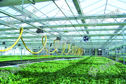 溫室配套系統(tǒng)——噴霧降溫系統(tǒng)