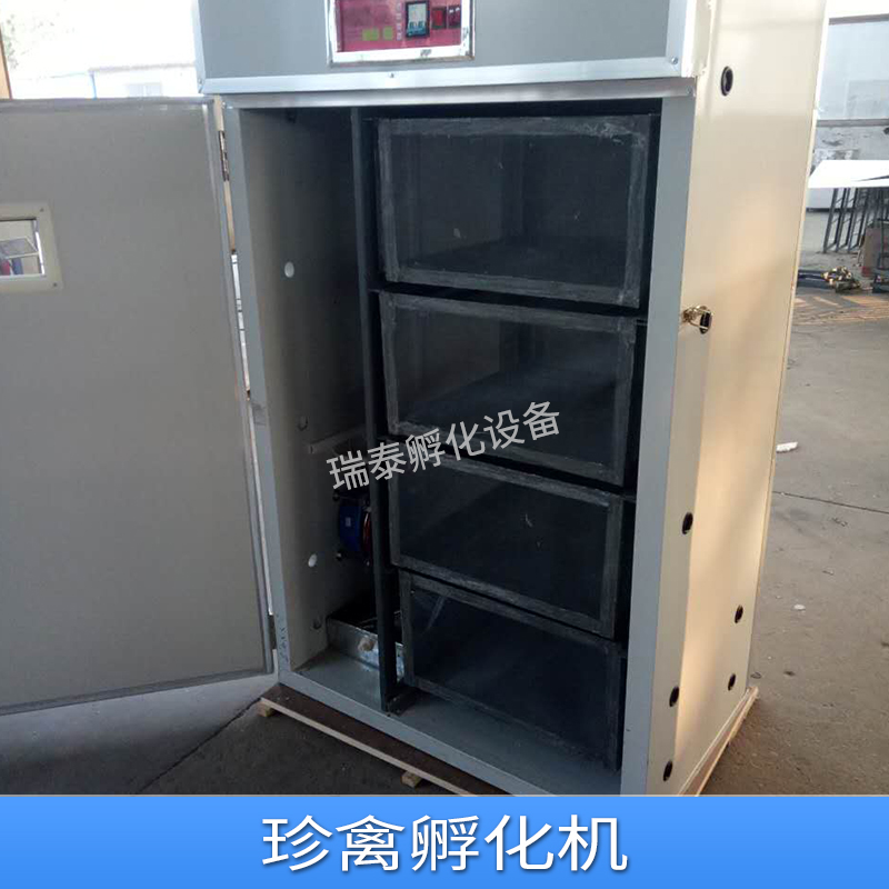 珍禽孵化機(jī)  操作簡單易學(xué) 安全可靠 廠家專業(yè)生產(chǎn)出售