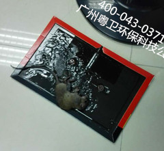 廣州滅鼠選哪家？ 廣州滅鼠公司選哪家？ 廣州殺蟲公司廣州滅鼠公司選哪家？