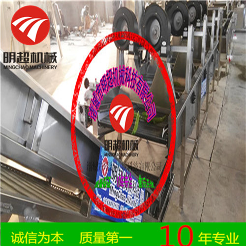 明超專業(yè)凈菜加工流水線設(shè)備—油菜清洗風(fēng)干線