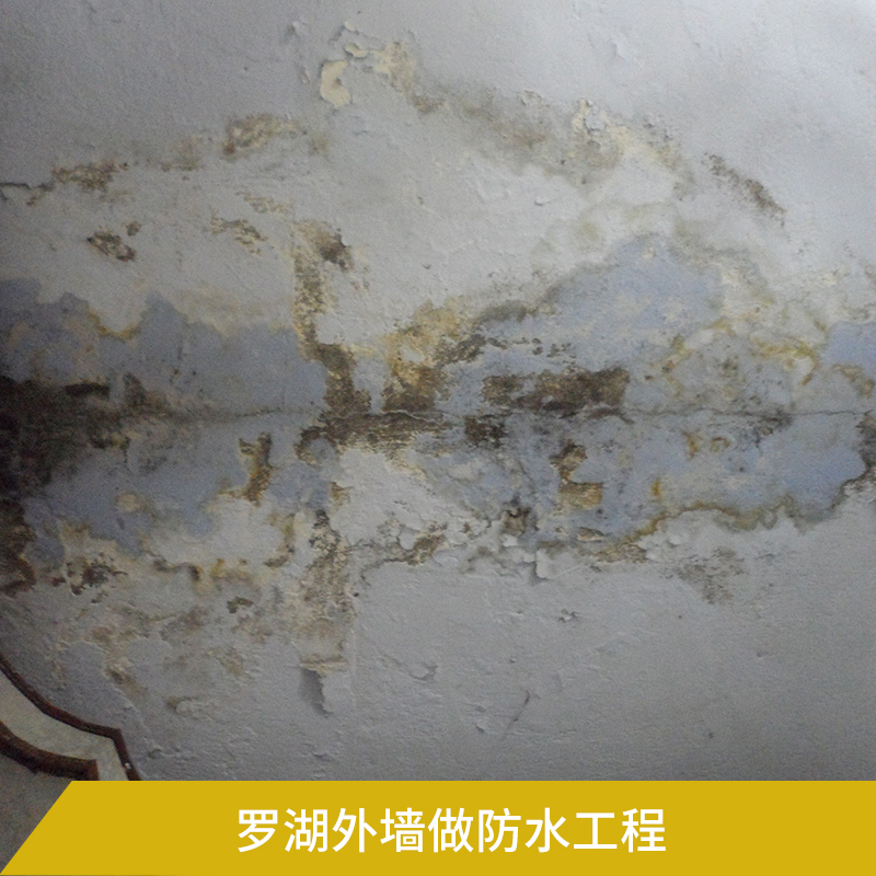 深圳羅湖外墻做防水工程公司 建筑物外墻結(jié)構(gòu)全方位防水處理工程施工