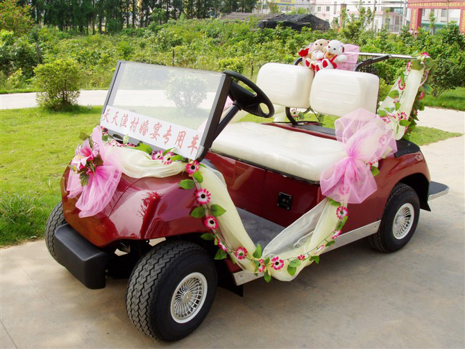 供應(yīng)兩座高爾夫觀(guān)光車(chē)，廣東高爾夫觀(guān)光車(chē)廠(chǎng)家， 價(jià)格直銷(xiāo)/批發(fā)。 2座觀(guān)光車(chē)
