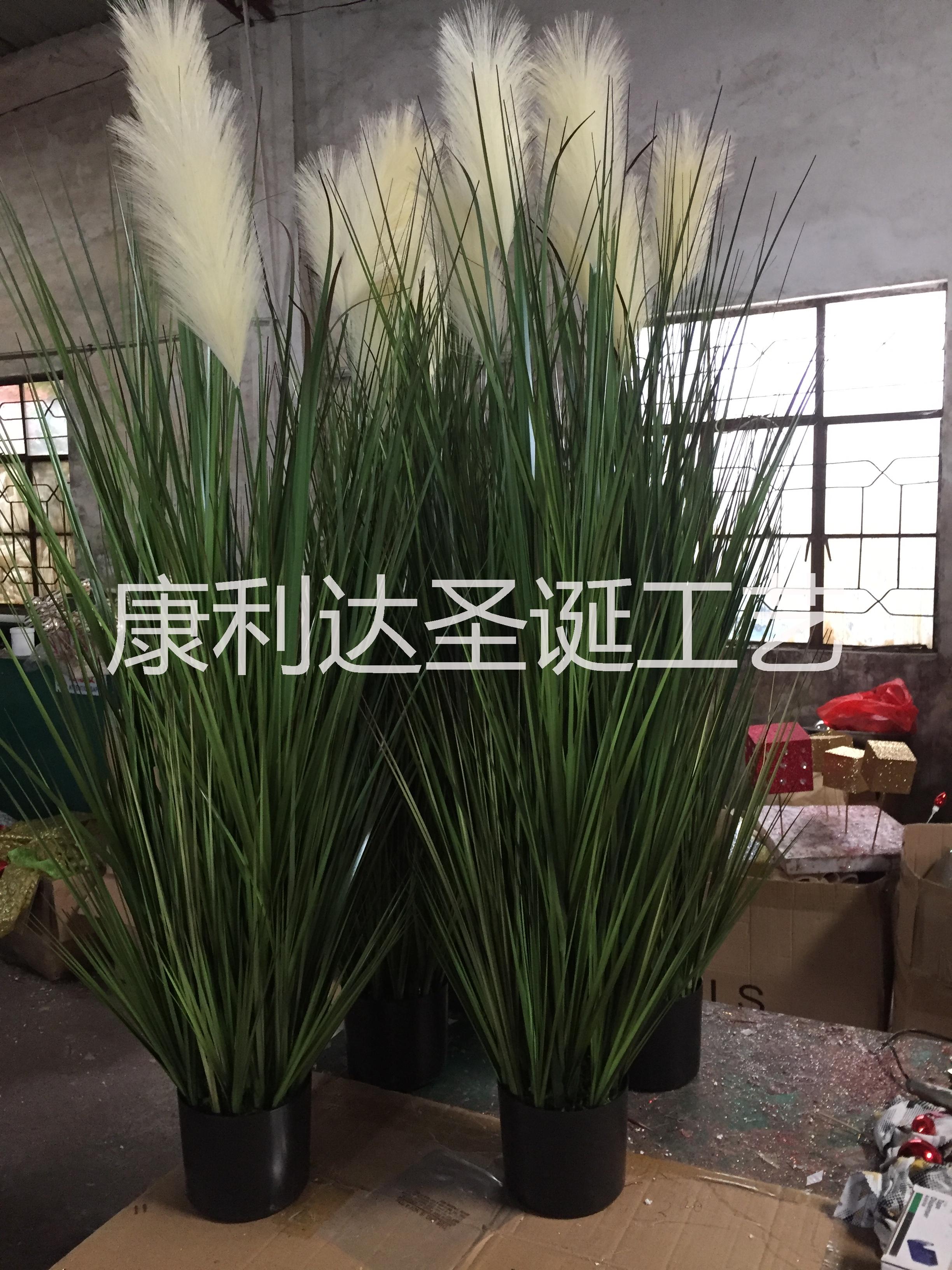 廣東洋蔥草生產(chǎn)廠家 洋蔥草仿真植物價格 洋蔥草仿真植物批發(fā)洋蔥草