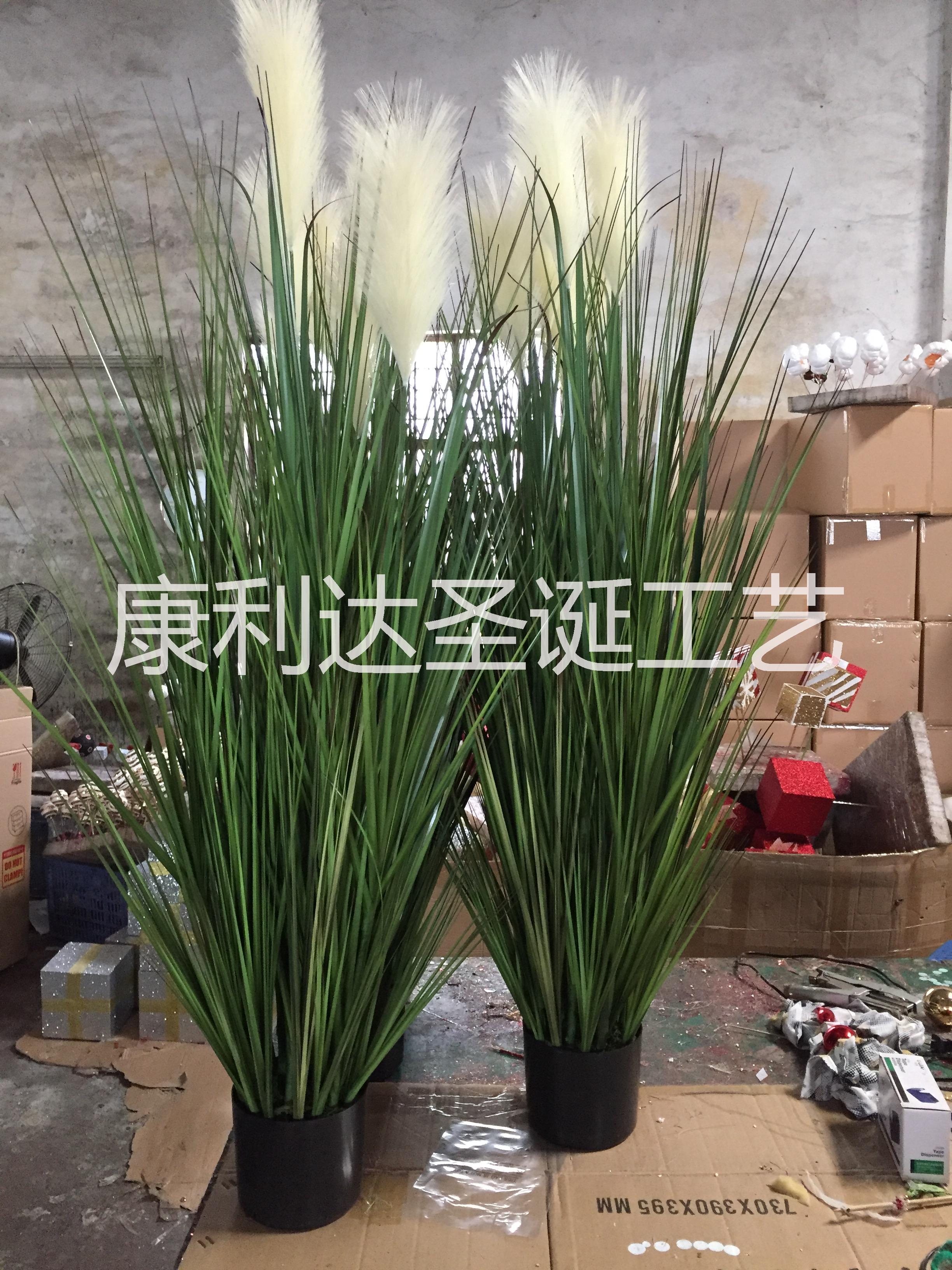 廣東洋蔥草生產(chǎn)廠家 洋蔥草仿真植物價格 洋蔥草仿真植物批發(fā)洋蔥草