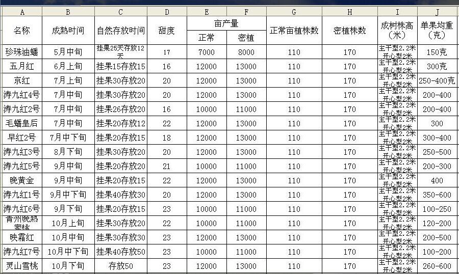 湖北濤九紅五號(hào)苗批發(fā)價(jià)格  晚熟濤九紅五號(hào)苗 當(dāng)年嫁接濤九紅五號(hào)
