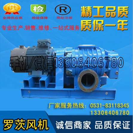 羅茨風機HLSR200H（雙油箱水冷）110kw廠家價格