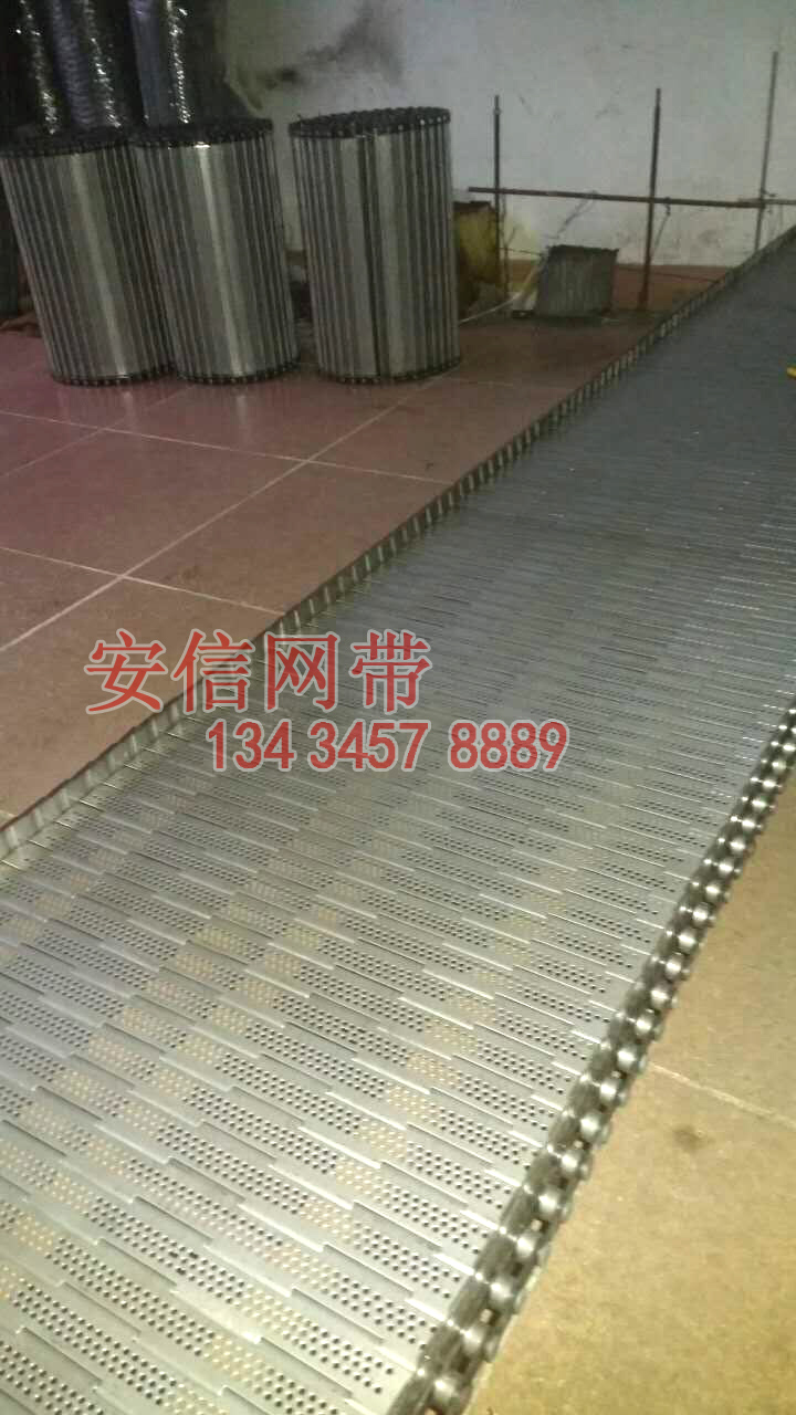 東莞鏈板式網(wǎng)帶，東莞鏈板式網(wǎng)帶批發(fā)，東莞鏈板式網(wǎng)帶價(jià)格