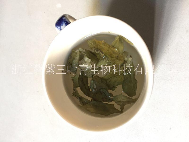 三葉青茶 三葉青批發(fā) 三葉青種植基地 三葉青小苗價格 浙江磐紫三葉青茶，清熱解毒，利咽