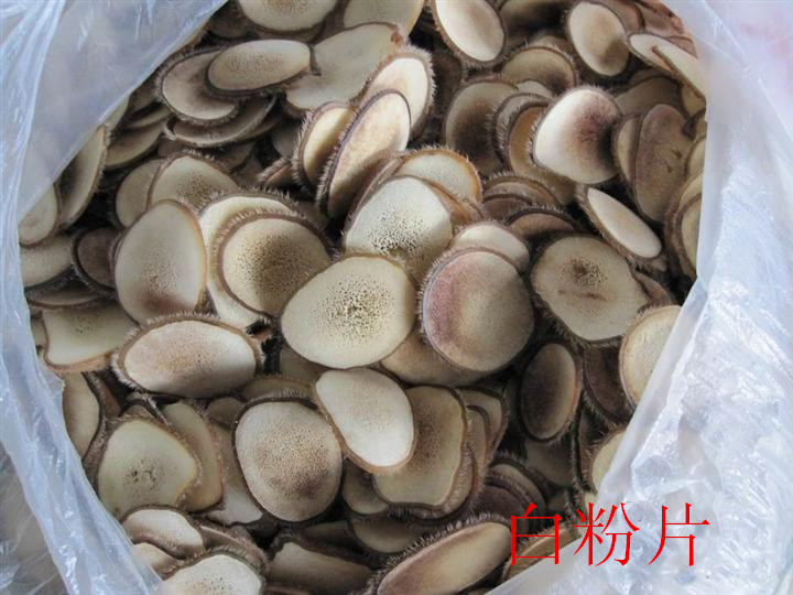 新鮮鹿茸