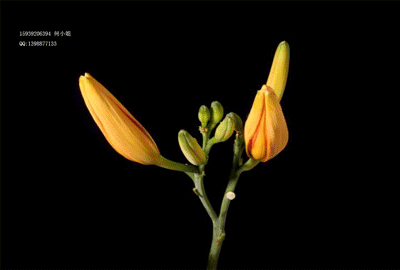 3D光柵立體裝飾畫(huà)3D立體中堂畫(huà)3D立體玄關(guān)畫(huà)3D立體影視墻  廠家供應(yīng)大幅3D立體畫(huà)立體裝飾畫(huà)