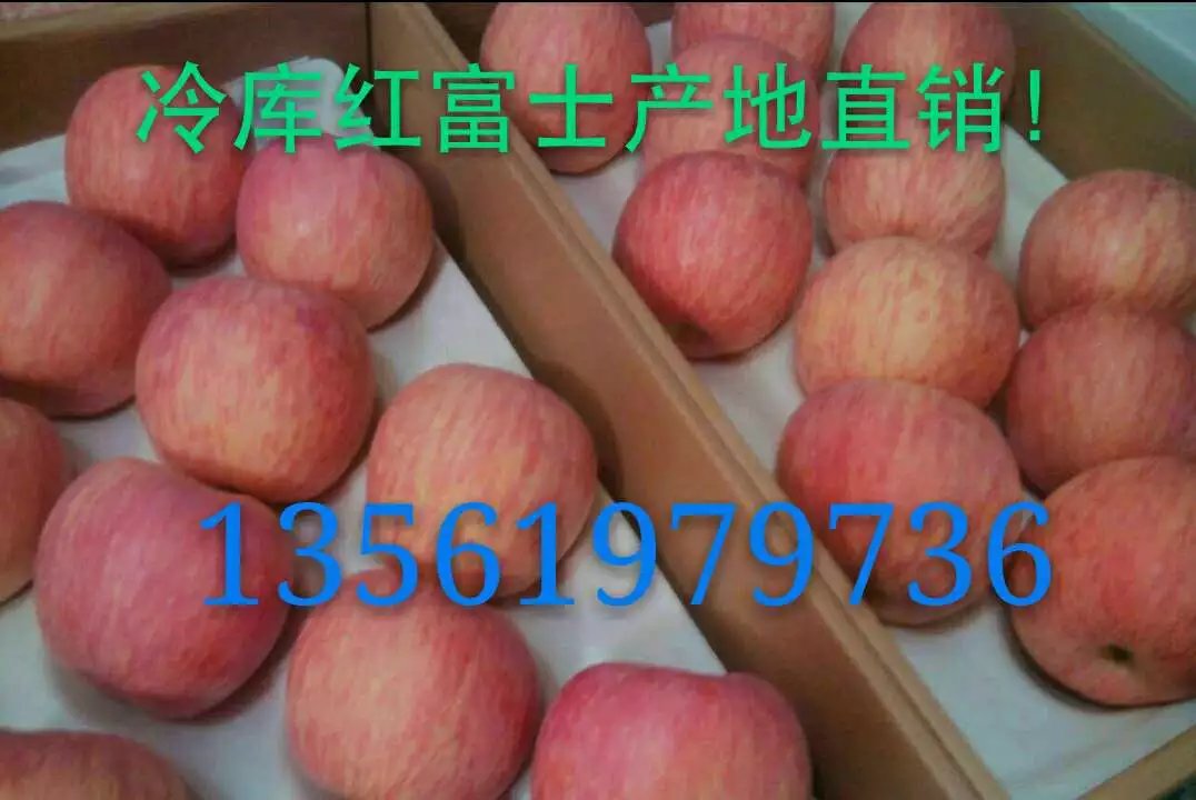 紅富士蘋果產(chǎn)地直銷批發(fā)