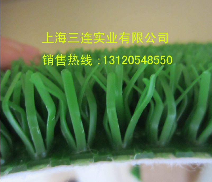 供應(yīng)日本三菱氈金草