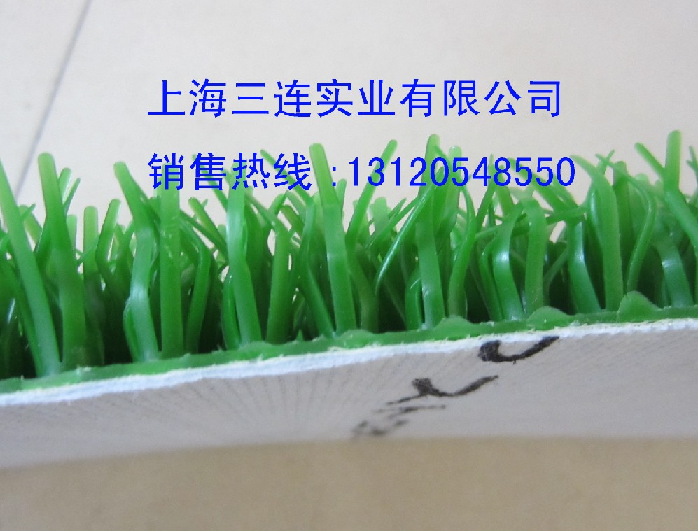 供應(yīng)日本三菱氈金草