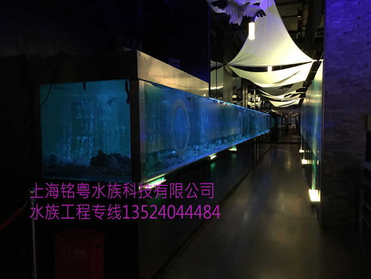 銘粵水族承接大型超白玻璃鯊魚魚缸 生態(tài)景觀魚缸