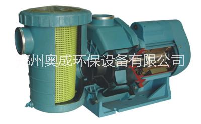 意大利“愛(ài)克”游泳池循環(huán)水泵 泳池循環(huán)水泵 泳池設(shè)備廠家