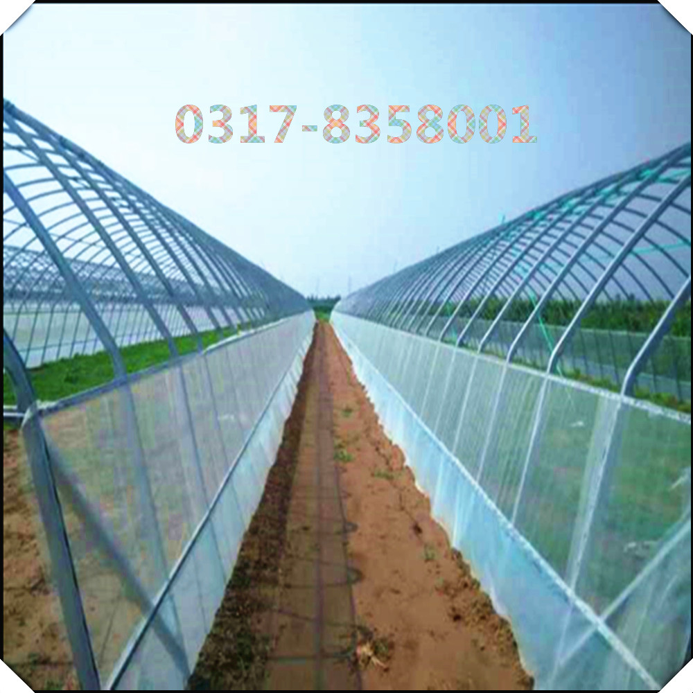 新旺興農(nóng)種植大棚8117圓拱大棚生產(chǎn)建設(shè)