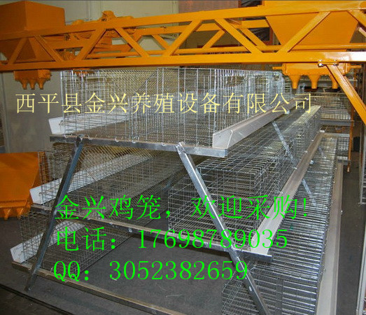 金興養(yǎng)殖公司專(zhuān)業(yè)定制雞籠及附屬設(shè) 金興養(yǎng)殖專(zhuān)業(yè)定制雞籠及附屬設(shè)備