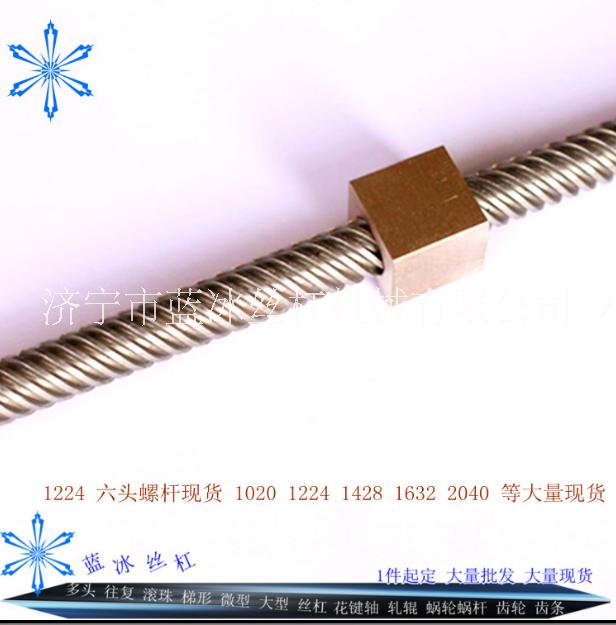 1224多頭大導(dǎo)程絲桿現(xiàn)貨一根起