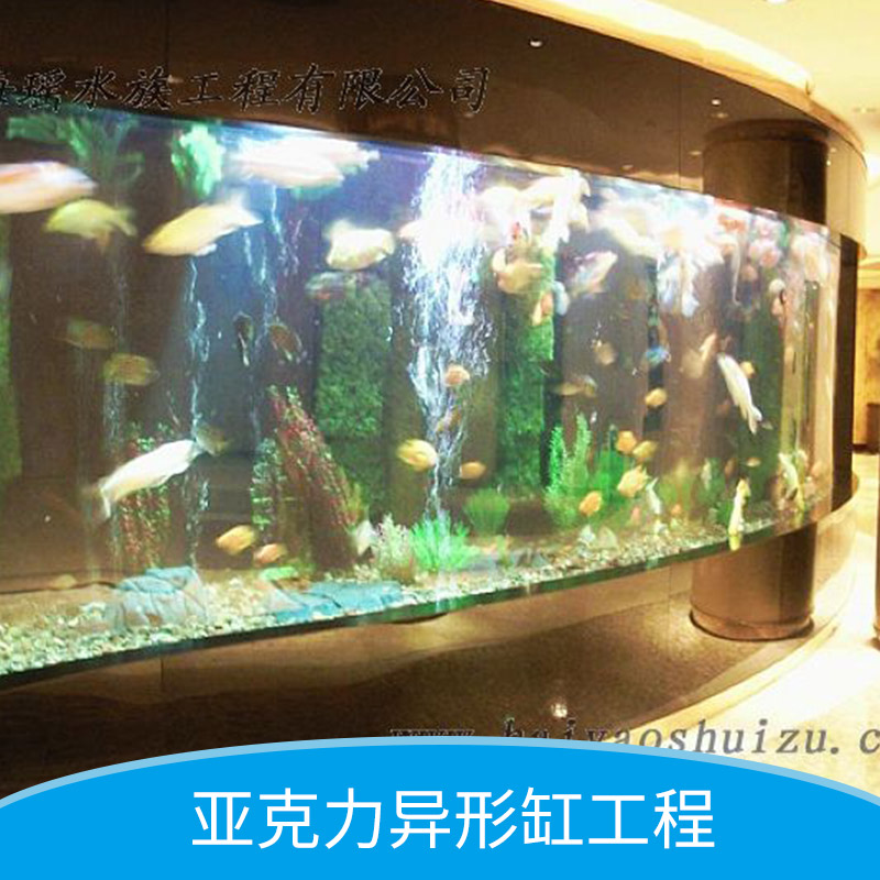 亞克力異形缸工程 異形魚缸 亞克力異形缸定做