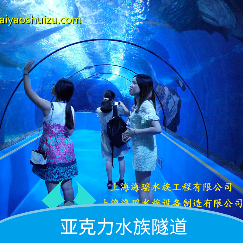 亞克力異形魚缸 亞克力水族隧道 亞克力水族批發(fā)