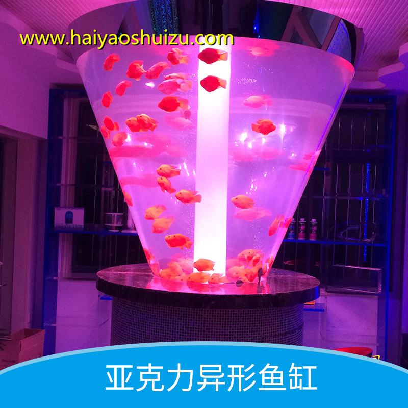 亞克力異形缸工程 異形魚缸 亞克力異形缸定做 亞克力異形魚缸