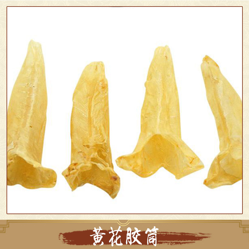 黃花膠肚供應(yīng)商 黃花膠筒報(bào)價(jià) 黃花膠肚廠家直銷 花膠報(bào)價(jià)花膠直銷 黃花膠筒供應(yīng)