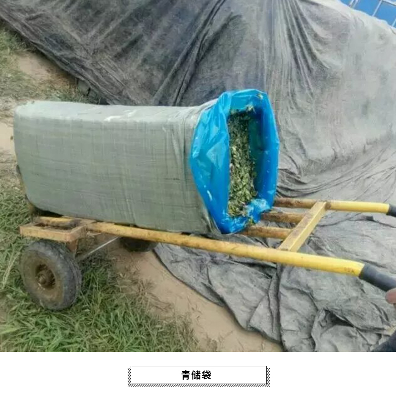 河北植物性飼料青儲袋，玉米秸稈塑料青儲袋，青儲發(fā)酵袋廠家批發(fā)，河北青儲袋供應商，山東青儲袋