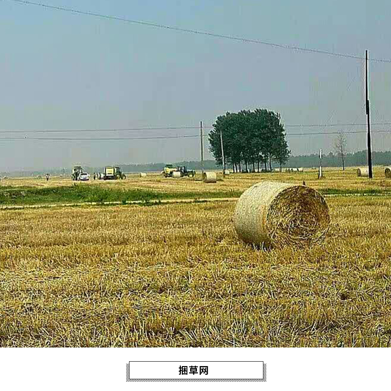 打捆機(jī)*捆草網(wǎng)，打捆纏繞網(wǎng)，捆草網(wǎng)廠家批發(fā)，打捆網(wǎng)，捆草網(wǎng)供應(yīng)商，牧草*打包網(wǎng)
