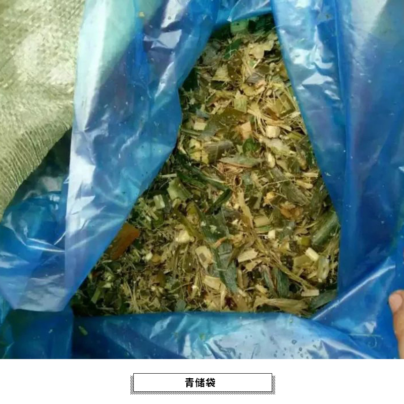 河北植物性飼料青儲袋，玉米秸稈塑料青儲袋/青儲發(fā)酵袋廠家批發(fā)