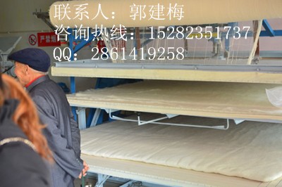 廠家直銷眉三牌 揉磨機(jī)DT-IVA *彈花機(jī)圖片