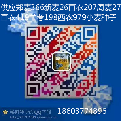 供應(yīng)4500粒規(guī)格進口種衣劑銳勝*抗病性好抗逆性強出籽率高適應(yīng)性廣結(jié)實性好適宜機械化收割新國審耐密高產(chǎn)紅軸農(nóng)大372