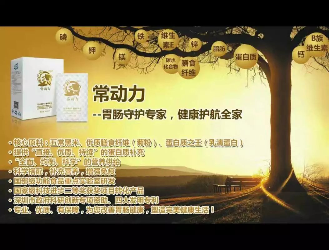 渠道合作代理 廠家*代餐粉食品