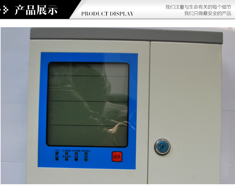 總線制氣體報警控制器（主機(jī)）/型號：DN-K2000