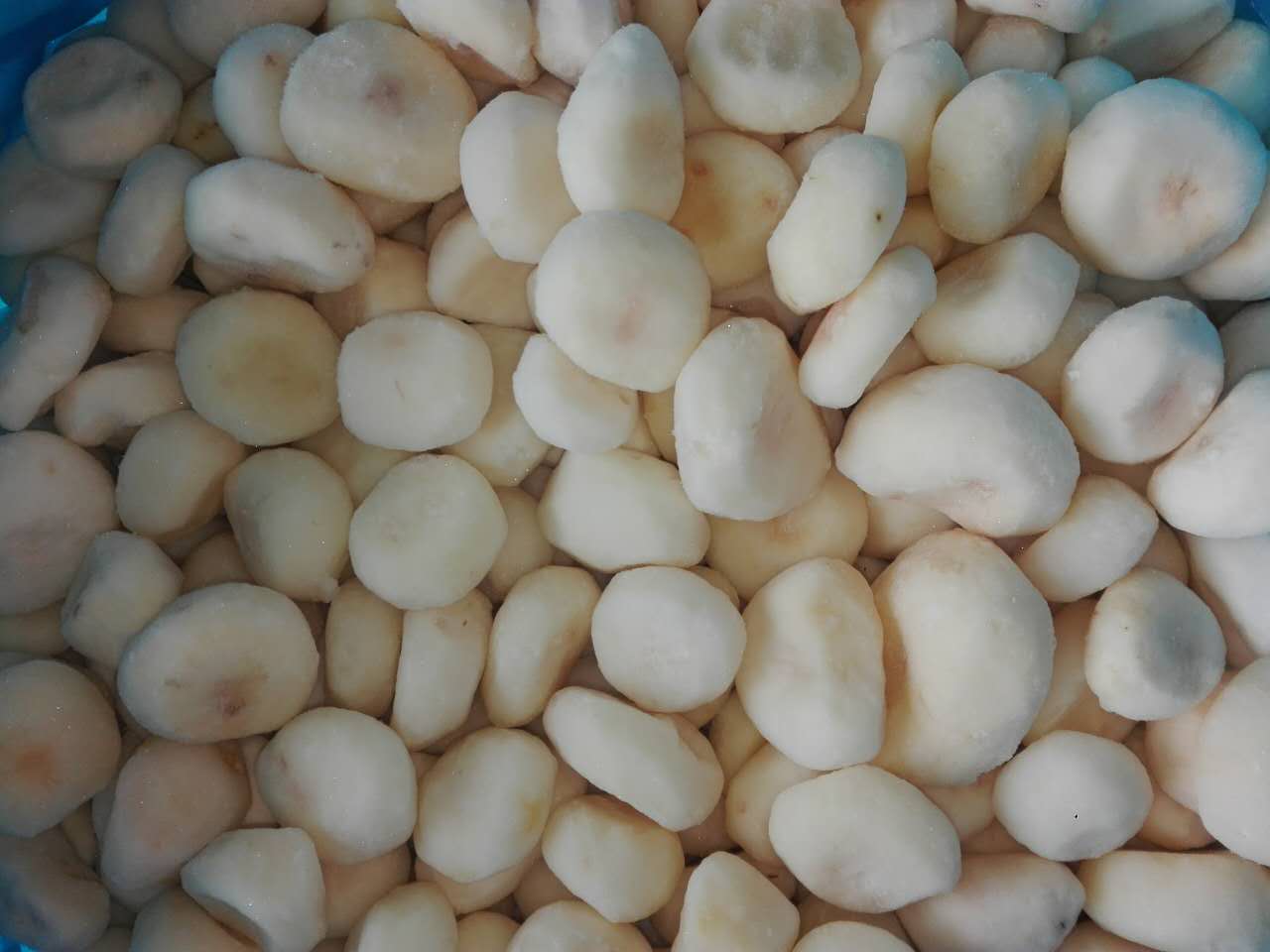 廠家直銷速凍馬蹄，優(yōu)質(zhì)水果，新鮮水果