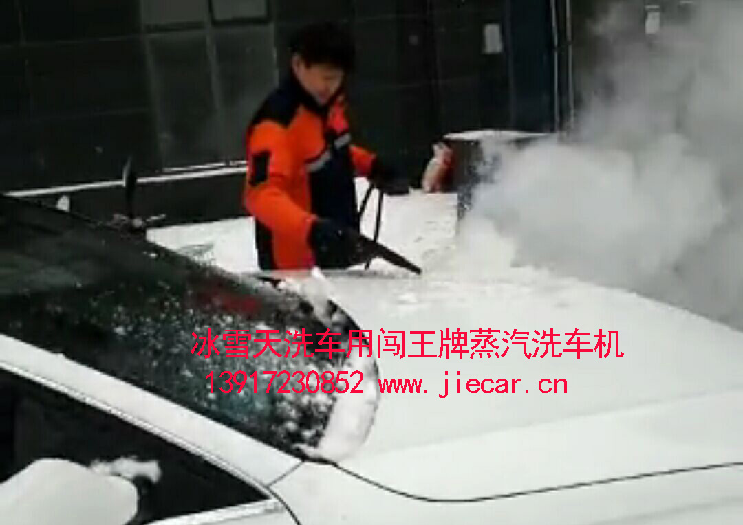供應移動蒸汽洗車機 蒸汽清洗機