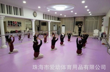 專業(yè)舞蹈地膠 PVC舞蹈教室地板 舞臺(tái)地膠 幼兒園練功房塑膠地板