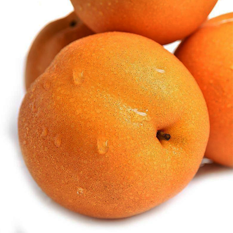 豐水梨代收 豐水梨代收綠寶石梨豐水梨黃金 豐水梨代收綠寶石梨豐水梨黃金梨